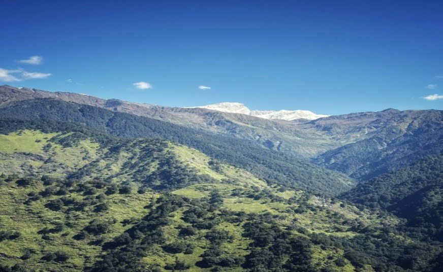 shine Travels & local taxi in Gorakhpur