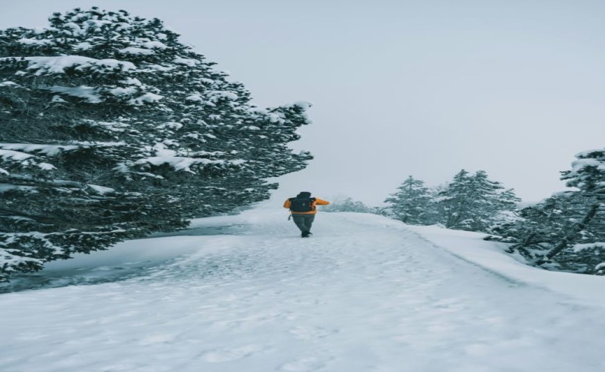 shine Travels & local taxi in Gorakhpur